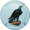 Capsule Martin Glod Rapace 4 Aigle de Verraux