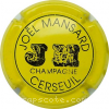 Capsule Mansard Joël Jaune et noir