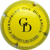 Capsule Dumangin Guy  Jaune et noir, striée