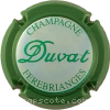 Capsule Duvat  Contour vert