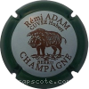 Capsule Adam Remi Contour vert