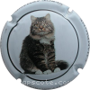 Capsule Armand Serge Européen