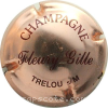 Capsule Fleury - Gille  Cuivre et marron